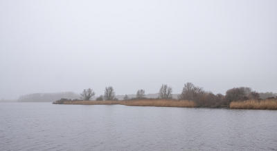 <i class='fa fa-user'></i>&nbsp;Tim Oord&nbsp;|  'Riet en bomen'&nbsp; <i class='fa fa-eye'>&nbsp;52</i> &nbsp; <i class='fa fa-comment-o'>&nbsp;1</i>