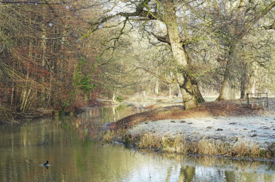 <i class='fa fa-user'></i>&nbsp;hesterb&nbsp;|  Vleugje winter&nbsp; <i class='fa fa-eye'>&nbsp;97</i> &nbsp; <i class='fa fa-comment-o'>&nbsp;6</i>