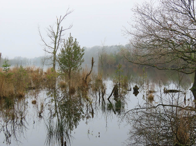 <i class='fa fa-user'></i>&nbsp;A. Soeting&nbsp;|  Bos staat onderwater&nbsp; <i class='fa fa-eye'>&nbsp;73</i> &nbsp; <i class='fa fa-comment-o'>&nbsp;4</i>