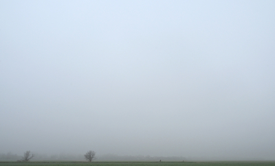 <i class='fa fa-user'></i>&nbsp;Eric Gibcus&nbsp;|  Landschap&nbsp; <i class='fa fa-eye'>&nbsp;111</i> &nbsp; <i class='fa fa-comment-o'>&nbsp;10</i>