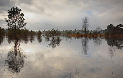 <i class='fa fa-user'></i>&nbsp;Pieter  LJ&nbsp;|  IJzige Heide&nbsp; <i class='fa fa-eye'>&nbsp;78</i> &nbsp;<i class='fa fa-thumbs-up'>&nbsp;8</i> &nbsp; <i class='fa fa-comment-o'>&nbsp;6</i>