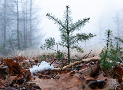 <i class='fa fa-user'></i>&nbsp;David&nbsp;|  IJshaar&nbsp; <i class='fa fa-eye'>&nbsp;58</i> &nbsp; <i class='fa fa-comment-o'>&nbsp;3</i>