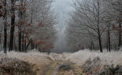 <i class='fa fa-user'></i>&nbsp;nelappelmelk&nbsp;|  Mist en rijp&nbsp; <i class='fa fa-eye'>&nbsp;89</i> &nbsp;<i class='fa fa-thumbs-up'>&nbsp;1</i> &nbsp; <i class='fa fa-comment-o'>&nbsp;11</i>