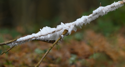 <i class='fa fa-user'></i>&nbsp;Eric Gibcus&nbsp;|  IJshaar&nbsp; <i class='fa fa-eye'>&nbsp;64</i> &nbsp; <i class='fa fa-comment-o'>&nbsp;2</i>