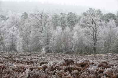 <i class='fa fa-user'></i>&nbsp;nelappelmelk&nbsp;|  Rijp op het hoogste punt&nbsp; <i class='fa fa-eye'>&nbsp;76</i> &nbsp; <i class='fa fa-comment-o'>&nbsp;2</i>