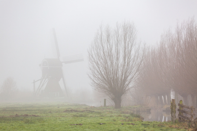 <i class='fa fa-user'></i>&nbsp;Pieter  LJ&nbsp;|  Molen in de mist&nbsp; <i class='fa fa-eye'>&nbsp;77</i> &nbsp;<i class='fa fa-thumbs-up'>&nbsp;1</i> &nbsp; <i class='fa fa-comment-o'>&nbsp;2</i>