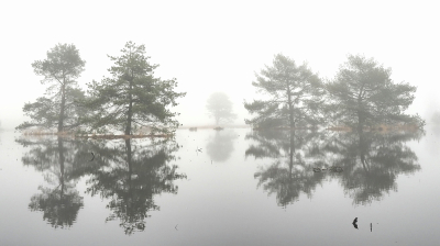 <i class='fa fa-user'></i>&nbsp;boerke&nbsp;|  Weerspiegeling&nbsp; <i class='fa fa-eye'>&nbsp;80</i> &nbsp;<i class='fa fa-thumbs-up'>&nbsp;7</i> &nbsp; <i class='fa fa-comment-o'>&nbsp;6</i>