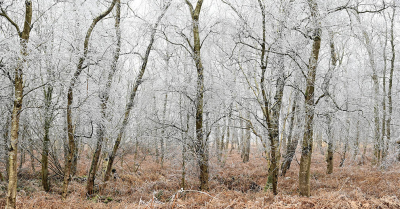 <i class='fa fa-user'></i>&nbsp;Eric Gibcus&nbsp;|  Rijp&nbsp; <i class='fa fa-eye'>&nbsp;59</i> &nbsp; <i class='fa fa-comment-o'>&nbsp;1</i>