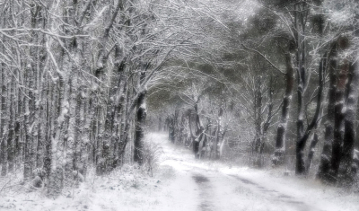 <i class='fa fa-user'></i> nelappelmelk | Winterse impressie  <i class='fa fa-eye'> 52</i>   <i class='fa fa-comment-o'> 5</i>