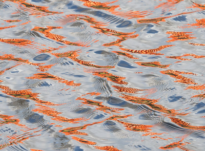 <i class='fa fa-user'></i>&nbsp;Truus Aletta Maan&nbsp;|  Water&nbsp; <i class='fa fa-eye'>&nbsp;110</i> &nbsp;<i class='fa fa-thumbs-up'>&nbsp;8</i> &nbsp; <i class='fa fa-comment-o'>&nbsp;10</i>