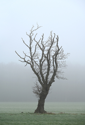 <i class='fa fa-user'></i>&nbsp;Eric Gibcus&nbsp;|  Beuk&nbsp; <i class='fa fa-eye'>&nbsp;58</i> &nbsp;<i class='fa fa-thumbs-up'>&nbsp;1</i> &nbsp; <i class='fa fa-comment-o'>&nbsp;3</i>