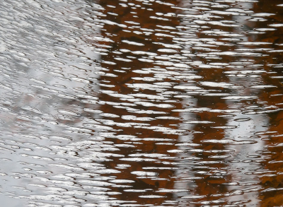 <i class='fa fa-user'></i>&nbsp;Truus Aletta Maan&nbsp;|  Water&nbsp; <i class='fa fa-eye'>&nbsp;49</i> &nbsp; <i class='fa fa-comment-o'>&nbsp;2</i>