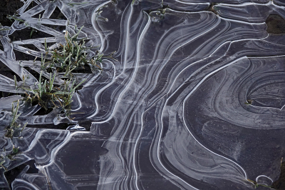 <i class='fa fa-user'></i>&nbsp;nelappelmelk&nbsp;|  IJskunst&nbsp; <i class='fa fa-eye'>&nbsp;67</i> &nbsp; <i class='fa fa-comment-o'>&nbsp;6</i>