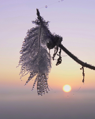 <i class='fa fa-user'></i> Nel R |  Mistige zonsopkomst  <i class='fa fa-eye'> 79</i>  <i class='fa fa-thumbs-up'> 8</i>   <i class='fa fa-comment-o'> 7</i>