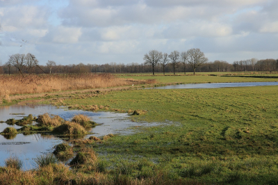 <i class='fa fa-user'></i> Tineke Strijbosch |  Het Zeijerveld  <i class='fa fa-eye'> 56</i>  <i class='fa fa-thumbs-up'> 1</i>   <i class='fa fa-comment-o'> 4</i>