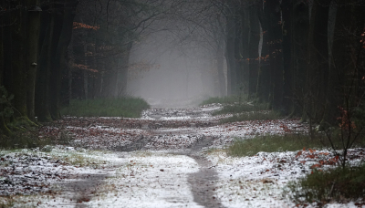 <i class='fa fa-user'></i> nelappelmelk |  Vleugje sneeuw en mist  <i class='fa fa-eye'> 86</i>  <i class='fa fa-thumbs-up'> 1</i>   <i class='fa fa-comment-o'> 5</i>