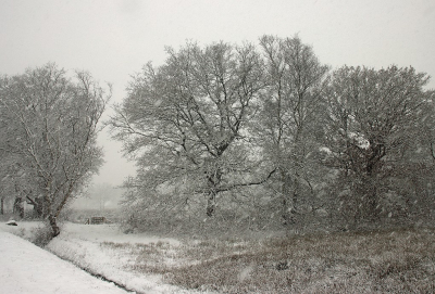 <i class='fa fa-user'></i> Tineke Strijbosch |  Eindelijk een vleugje winter!  <i class='fa fa-eye'> 80</i>  <i class='fa fa-thumbs-up'> 3</i>   <i class='fa fa-comment-o'> 10</i>