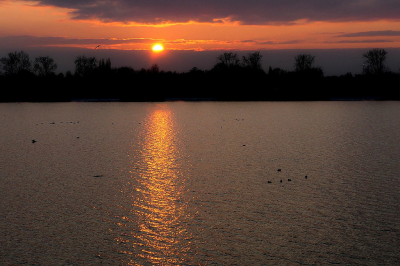 <i class='fa fa-user'></i> frbeuming |  Zonsondergang  <i class='fa fa-eye'> 53</i>   <i class='fa fa-comment-o'> 4</i>
