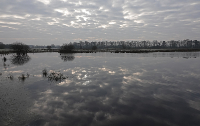 <i class='fa fa-user'></i> nelappelmelk |  Weerspiegeling  <i class='fa fa-eye'> 65</i>  <i class='fa fa-thumbs-up'> 1</i>   <i class='fa fa-comment-o'> 2</i>