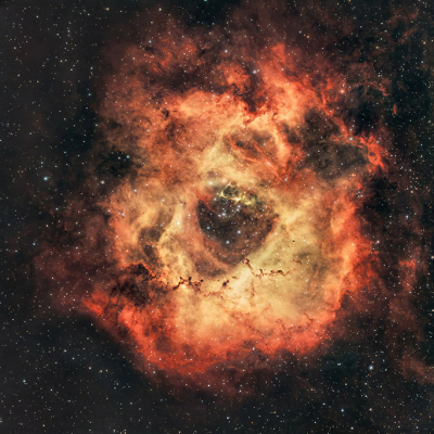 <i class='fa fa-user'></i> Bertus | Rosette nevel  <i class='fa fa-eye'> 76</i>  <i class='fa fa-thumbs-up'> 5</i>   <i class='fa fa-comment-o'> 4</i>