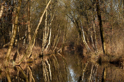 <i class='fa fa-user'></i> Eric Gibcus | Landschap  <i class='fa fa-eye'> 66</i>   <i class='fa fa-comment-o'> 0</i>