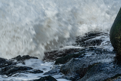 <i class='fa fa-user'></i> Eef Kieft | Dynamische Noordzee  <i class='fa fa-eye'> 48</i>   <i class='fa fa-comment-o'> 0</i>