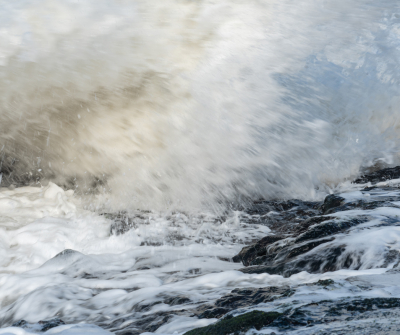 <i class='fa fa-user'></i> Eef Kieft | De wildheid van water  <i class='fa fa-eye'> 78</i>   <i class='fa fa-comment-o'> 6</i>