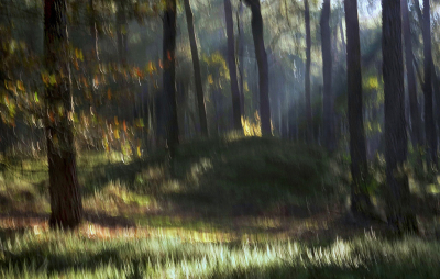 <i class='fa fa-user'></i> Nel R |  In het bos  <i class='fa fa-eye'> 105</i>  <i class='fa fa-thumbs-up'> 1</i>   <i class='fa fa-comment-o'> 4</i>