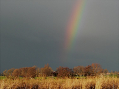 <i class='fa fa-user'></i> Gerard Roest | Regenboog tegen donkere lucht  <i class='fa fa-eye'> 140</i>   <i class='fa fa-comment-o'> 17</i>