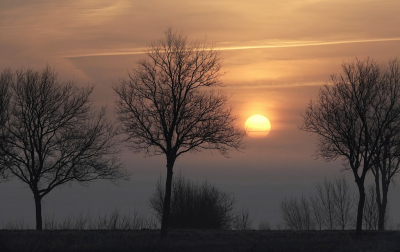 Een zeer mistige morgen waardoor er in de polders vrijwel niets te zien was. Een beetje hoger, op de dijkjes, was het redelijk helder.
