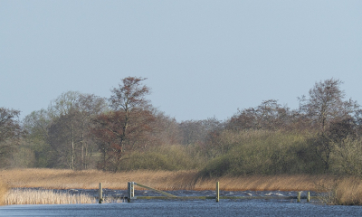 Nature picture: 4.  / Winderig landschap