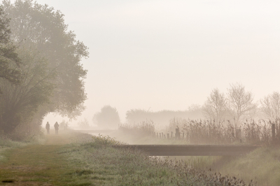 Nature picture: 1.  / De Matjens