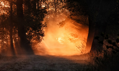Nature picture: 1. Achterom kijken