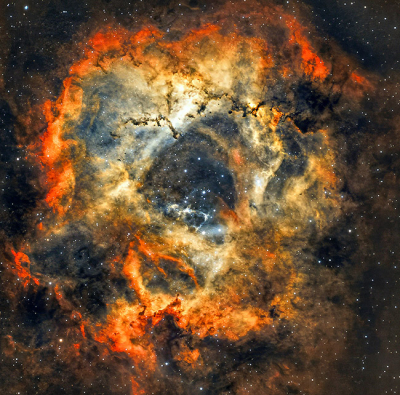 Nature picture: 1. Rosette nevel