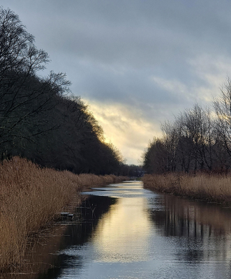 <i class='fa fa-user'></i> guidomwm | Apeldoorns Dierens kanaal  <i class='fa fa-eye'> 37</i>   <i class='fa fa-comment-o'> 0</i>