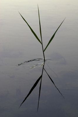 <i class='fa fa-user'></i> Ton Peter | Riet  <i class='fa fa-eye'> 128</i>   <i class='fa fa-comment-o'> 6</i>