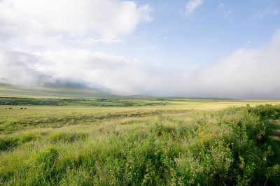 <i class='fa fa-user'></i> JeroenAsilia | Landschap Afrika  <i class='fa fa-eye'> 51</i>  <i class='fa fa-thumbs-up'> 1</i>   <i class='fa fa-comment-o'> 1</i>