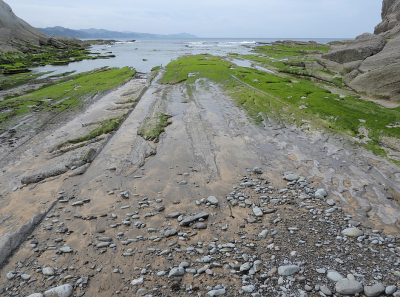 <i class='fa fa-user'></i> sieb | Flysch  <i class='fa fa-eye'> 66</i>   <i class='fa fa-comment-o'> 1</i>