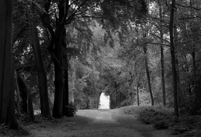 <i class='fa fa-user'></i> Tineke Strijbosch | Licht aan het einde van de tunnel  <i class='fa fa-eye'> 92</i>  <i class='fa fa-thumbs-up'> 6</i>   <i class='fa fa-comment-o'> 8</i>