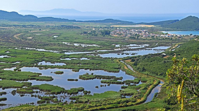 <i class='fa fa-user'></i> kooyammers |  Wetlands Ammoudia  <i class='fa fa-eye'> 63</i>  <i class='fa fa-thumbs-up'> 3</i>   <i class='fa fa-comment-o'> 4</i>