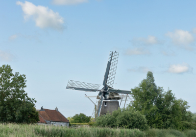 Locatie vlakbij het Tjeukermeer. Het is de vaarroute vanaf de Weerribben richting de Friese meren. Het was de bedoeling met mijn zoomlens de Aalscholver in beeld te brengen maar mijn macrolens zat nog op de camera en daar lukt het redelijk mee landschapsfoto's te maken. Een groothoeklens met grijsfilter staat op mijn verlanglijstje.
