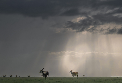 Nature picture: 1. Landschap