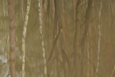 <i class='fa fa-user'></i> sieb |  Weerspiegeling  <i class='fa fa-eye'> 26</i>   <i class='fa fa-comment-o'> 3</i>
