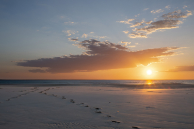 Een mooie lucht en wandelsporen in het zand. Geen storende objecten of personen op dit stille plekje. Locatie: Benguerra Island Mozambique een paradijs voor vogel-fotografen