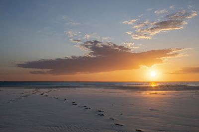 Een mooie lucht en wandelsporen in het zand. Geen storende objecten of personen op dit stille plekje. Locatie: Benguerra Island Mozambique een paradijs voor vogel-fotografen