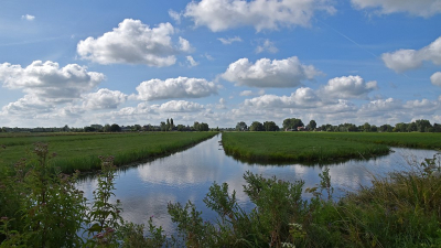<i class='fa fa-user'></i> kooyammers | Zomer!  <i class='fa fa-eye'> 8</i>   <i class='fa fa-comment-o'> 0</i>