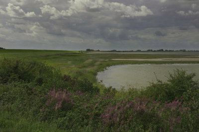 Eergisteren een mooie wandeling gemaakt langs de zeedijk van het Grevelingenmeer, ver weg van alle toeristen.