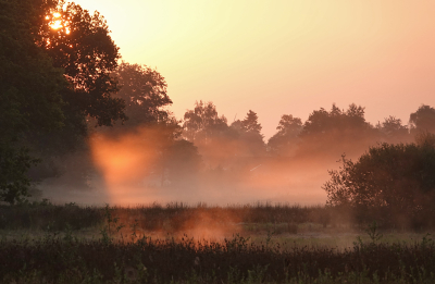 <i class='fa fa-user'></i> nelappelmelk |  Zonsopkomst  <i class='fa fa-eye'> 51</i>  <i class='fa fa-thumbs-up'> 1</i>   <i class='fa fa-comment-o'> 6</i>