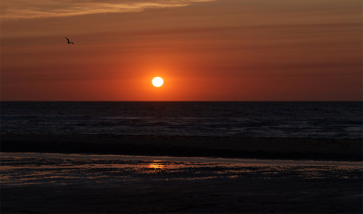 <i class='fa fa-user'></i> Jurgen Maassen |  Zonsondergang bij Oostende  <i class='fa fa-eye'> 31</i>   <i class='fa fa-comment-o'> 1</i>