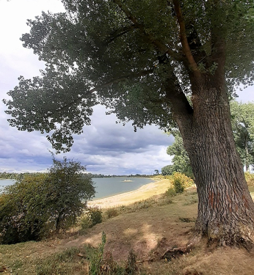 <i class='fa fa-user'></i> B.M.Schouten-Ruis | Landschap met baai  <i class='fa fa-eye'> 74</i>  <i class='fa fa-thumbs-up'> 1</i>   <i class='fa fa-comment-o'> 1</i>